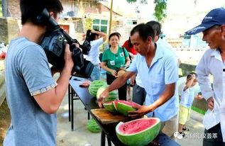 莱阳吃瓜群众,揭秘当地独特饮食文化