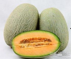 吃丹参茶可以吃哈密瓜,健康搭配的养生之道