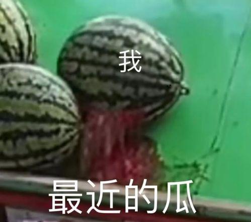 吃瓜大队在线,揭秘娱乐圈幕后故事，带你领略明星真实生活