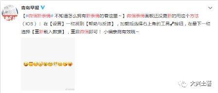 微信上吃瓜意思,吃瓜群众的趣味生活