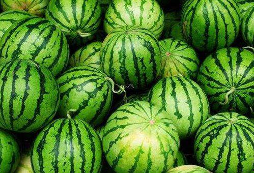 发烧可以吃甜 瓜,清凉美味，健康相伴