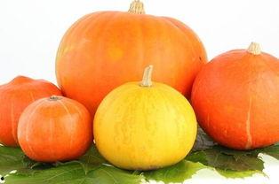 发烧可以吃甜 瓜,清凉美味，健康相伴