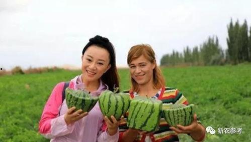 世界吃瓜群众特点,揭秘全球网民的趣味与热议