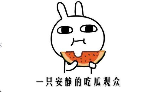 吃瓜观察,吃瓜群众视角下的娱乐圈风云录