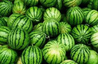 西安本地吃瓜群,揭秘本地美食圈的那些事儿