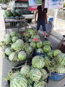 最新博乐吃瓜事件