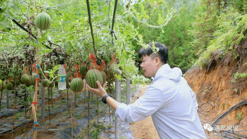 映月湖吃瓜,夏日炎炎，欢乐无限