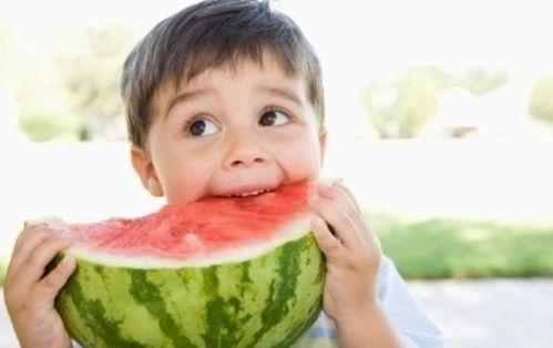 怎么开启吃瓜罗伯特,如何轻松开启吃瓜罗伯特之旅