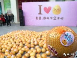 柚儿的吃瓜,揭秘娱乐圈那些不为人知的幕后故事