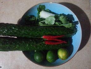 吃瓜很香,品味生活百态