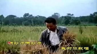 吃瓜群众赵钱孙李,揭秘吃瓜群众的趣味生活