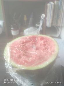 悲伤吃瓜的音乐,一场音乐与情感的交织之旅