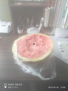 悲伤吃瓜的音乐,一场音乐与情感的交织之旅