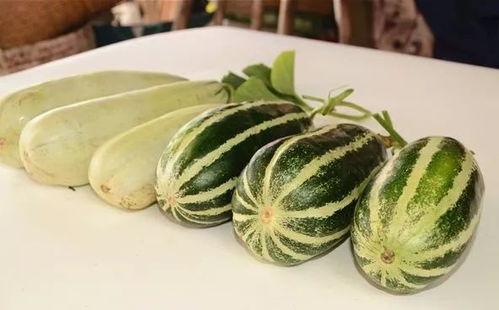 tg网红吃瓜频道,带你领略娱乐圈幕后风云