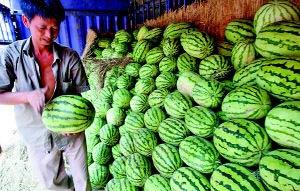 陕职吃瓜,揭秘那些“吃瓜”背后的故事