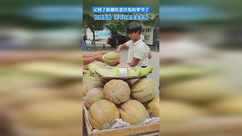 新疆高清吃瓜,一场视觉盛宴的美食之旅